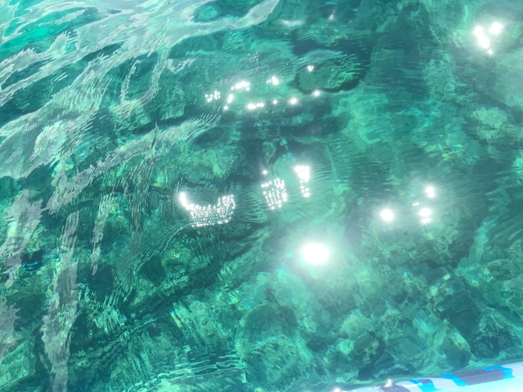 Carola compa: la amiga colonizadora&nbsp;(Esp)